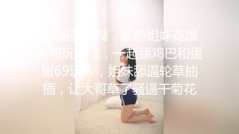 瘦子探花 眼镜学妹25 白天女仆 竖屏