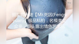 摄影师大佬【Mr.死因(Fengsiyuan)】极品私拍，名模美女众多，街头露出情色艺术品