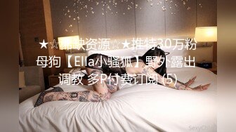 ★☆稀缺资源☆★推特30万粉母狗【Ella小骚狐】野外露出 调教 多P付费订阅 (5)