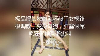 极品馒头嫩鲍乳环热门女模终极调教，变身母狗，肛塞假屌疯狂伺候高潮尖叫