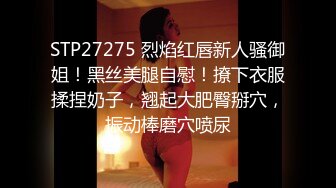  精选8部精品高清无码破解合集《中文字幕》(无码破解)