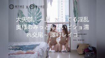 大失禁。～上品ぶってる淫乱奥様のみっともないビショ濡れ交尾～ 澤村レイコ