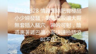 淫荡对白销魂呻吟，推特约炮大咖【夏次健】自传，调教爆肏巨乳肥臀小母狗，无套暴力输出肏到尖叫喊爸爸 (10)