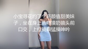 小宝寻花约了个高颜值甜美妹子，坐在身上舌吻摸奶镜头前口交，上位骑乘猛操呻吟