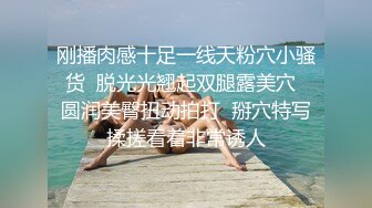 后入西安丝袜骚货