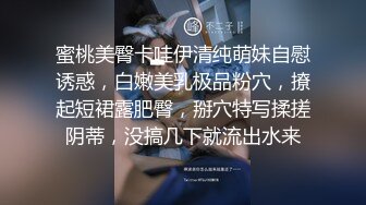 厕拍经典之作，冰尘系列之模特厕拍！ (12)