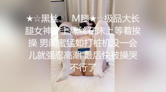 MDUS系列[中文字幕].LAX-0009.黑丝秘书痴狂性爱.What if Naughty Sheena is Your Personal Secretary.麻豆传媒映画