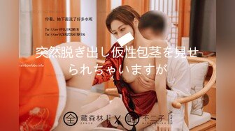 葫芦影业 HUL021 旧上海四女子往事第五集