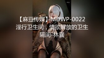 【麻豆传媒】MDWP-0022 淫行卫生间，情欲解放的卫生隔间-林襄