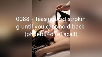 0088 - Teasing and stroking until you cant hold back (ph5eb54d7e1aca3)