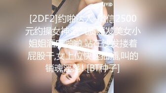 豪乳女神『Diary』淫乱实录 豪乳女友幻身狐尾女仆用蜜穴尽心伺候单男