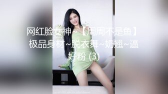 大奶少妇 穿上情趣吊带口交舔屌 新手弄了半天硬不起 少妇各种撸操逼失败