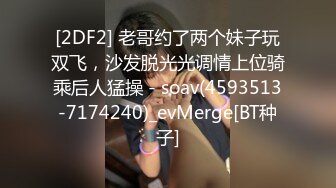 P站DickViciousDolls  我的洋娃娃老婆  最新大合集【66V】 (48)