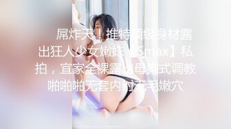 麻豆传媒&Pussy Hunter PS008 搭讪最美女神 绫波麗