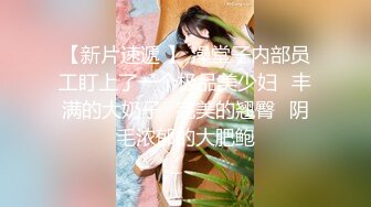 【麻豆传媒】mfk-0061 油压雪乳 活塞运动