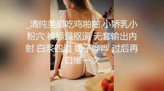 [JDYG-01]无法抗拒的肉棍征服我小穴 精东影业