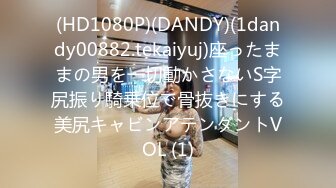 (HD1080P)(DANDY)(1dandy00882.tekaiyuj)座ったままの男を一切動かさないS字尻振り騎乗位で骨抜きにする美尻キャビンアテンダントVOL (1)