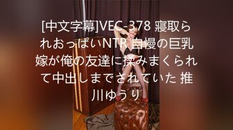 dph-087(33dph00087)[avscollector’s]非日常的悶絶遊戯新人女流カメラマン、智美の場合高原智美