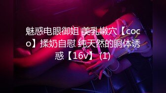 魅惑电眼御姐 美乳嫩穴【coco】揉奶自慰 纯天然的胴体诱惑【16v】 (1)