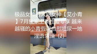 翘臀小骚狗露脸黑丝后入