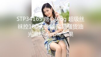 STP34165 糖心Vlog 超级丝袜控180大长腿 高跟骚货油光黑丝 Apple 苹果