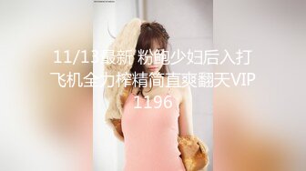 11/13最新 粉鲍少妇后入打飞机全力榨精简直爽翻天VIP1196